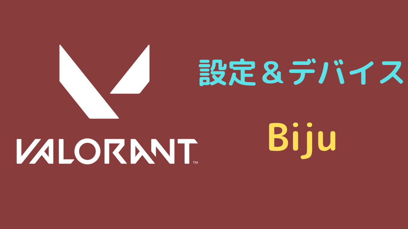 Biju 設定 valorant