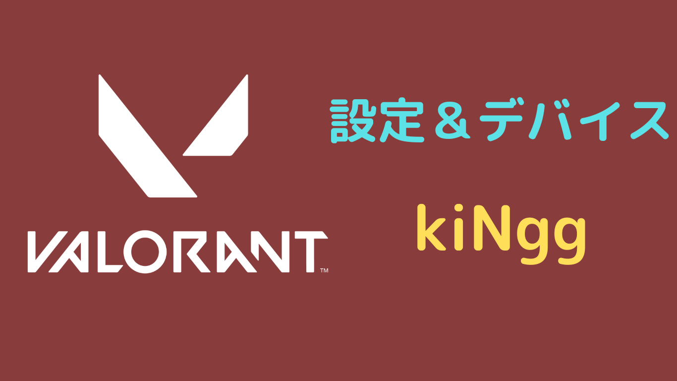 kiNgg 設定 valorant